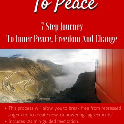 From Anger To Peace - a book by Joanna Zajusz