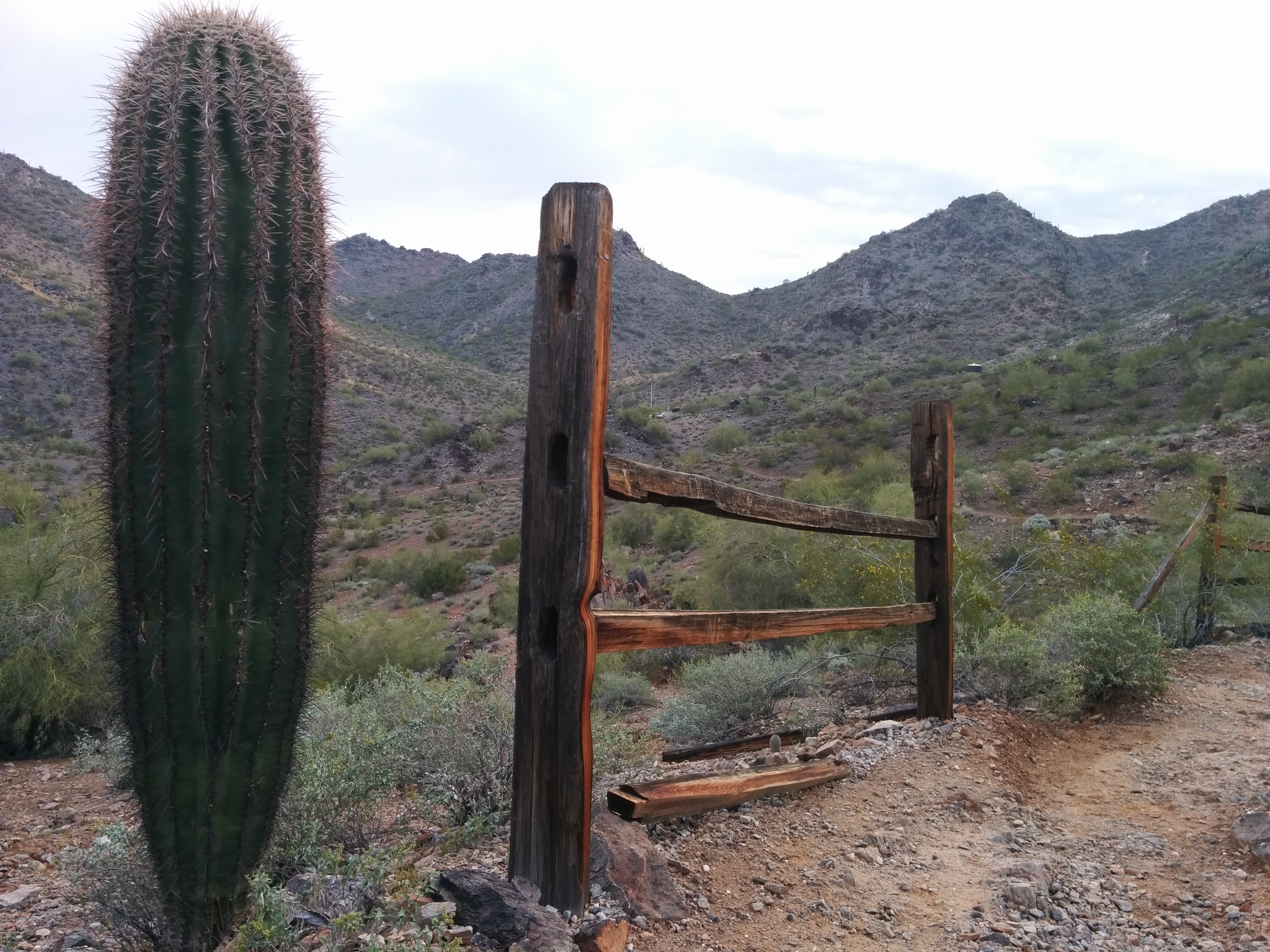 squaw peak mountain preserve , phoenix 