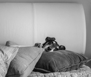 wrap your anger in soft blanket